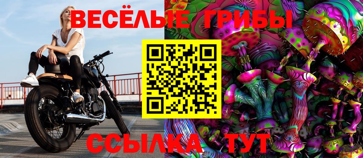 Псилоцибиновые грибы мухоморы Дальнегорск