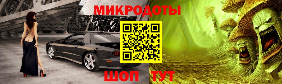 Галлюциногенные грибы Magic Shrooms  где купить наркоту  Дальнегорск  Вход с VPN 